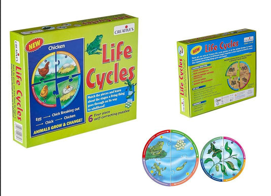 Life Cycles  Animal Learning Puzzle Lebanon